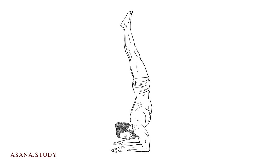Пинча маюрасана: техника выполнения, польза и противопоказания