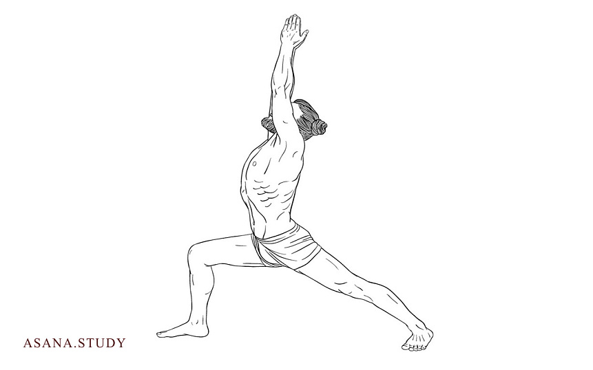 Вирабхадрасана I: подробное руководство по позе воина I