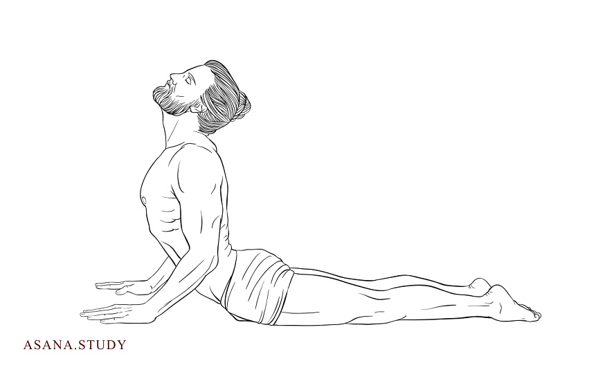 Бхуджангасана: подробное руководство по Позе кобры
