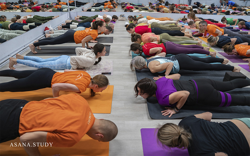 группа людей выполняют чатуранга дандасана