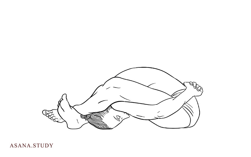 Асана супта курмасана