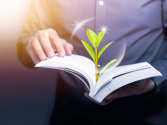 Выпускники