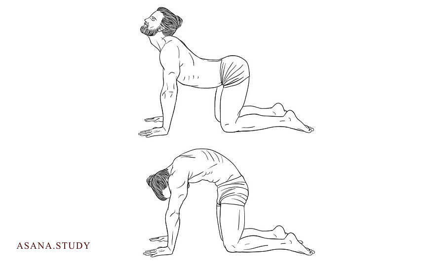 Марджариасана: улучшаем гибкость позвоночника и снимаем напряжение