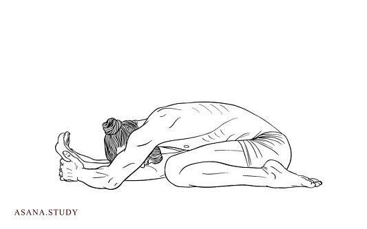 Асана трианг мукха эка пада пашчимоттанасана