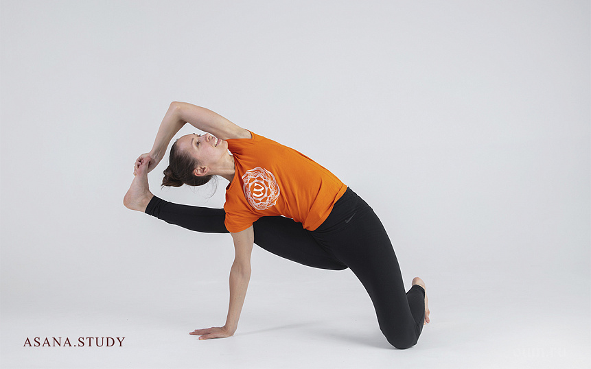 Ардха вишвамитрасана