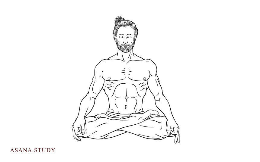 Падмасана: польза, техника выполнения и вариации