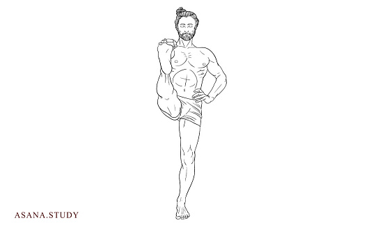 Уттхита хаста падангуштхасана 