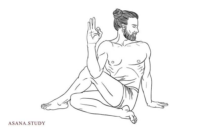 Ардха матсиендрасана: как правильно выполнять, польза и противопоказания