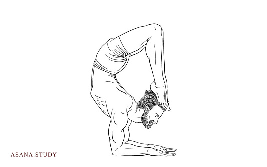 Асана вришчикасана