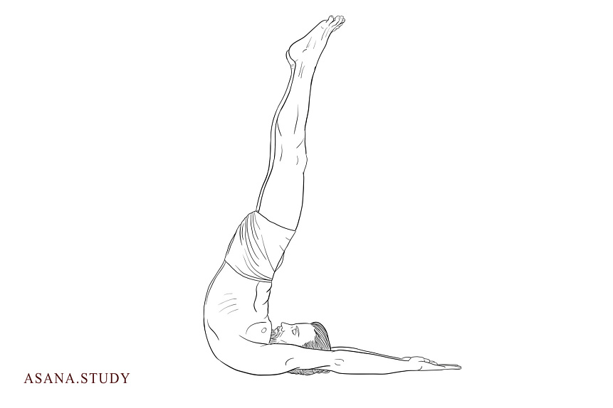 Нираламба сарвангасана II