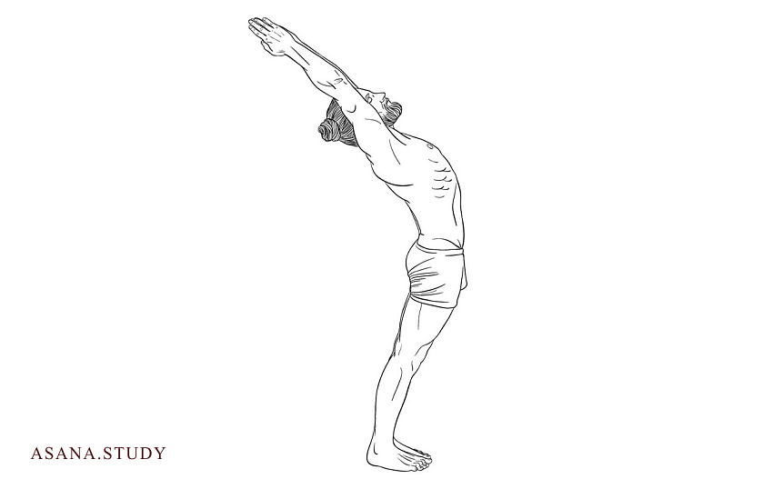 Хаста уттанасана: вытяжение позвоночника и раскрытие грудной клетки