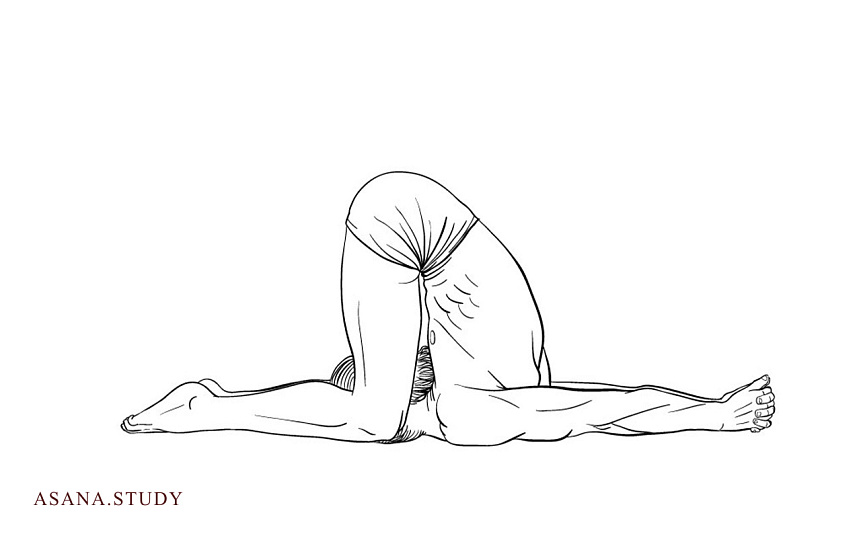 Карнапидасана: подробное руководство по Позе давления на уши