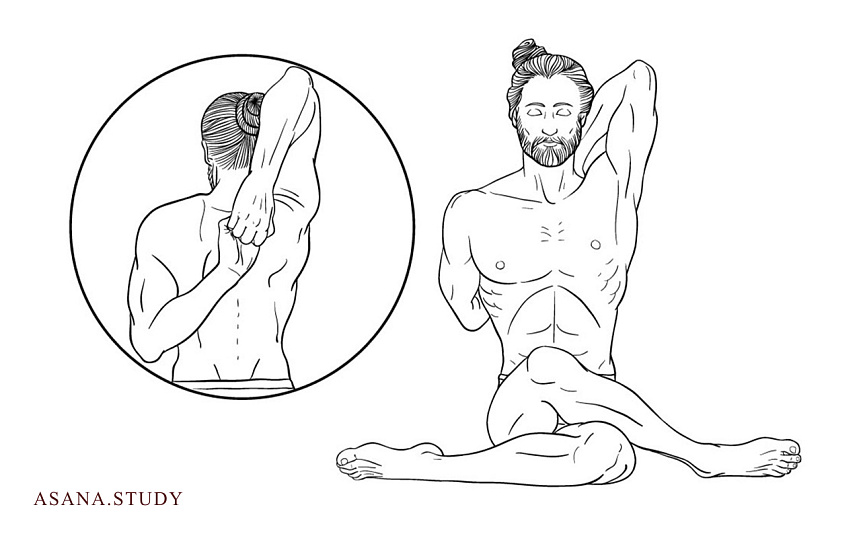 Гомукхасана: подробное руководство по позе коровьей морды