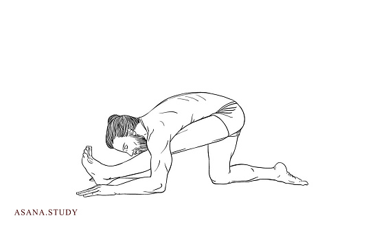 Ардха триконасана: подробное руководство по Позе половинного треугольника