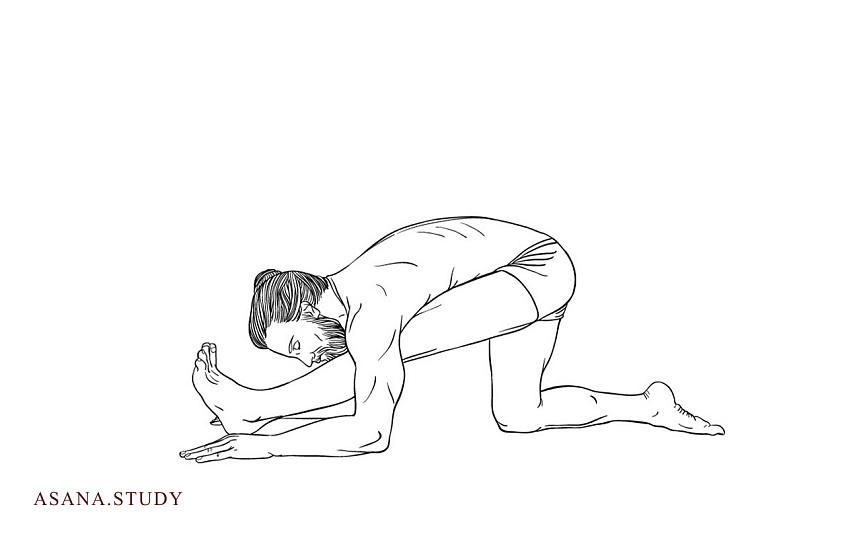 Ардха триконасана: подробное руководство по Позе половинного треугольника