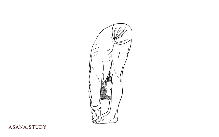 Падангуштхасана: подробное руководство по наклону вперёд с захватом за пальцы ног