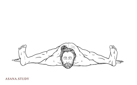 Асана курмасана