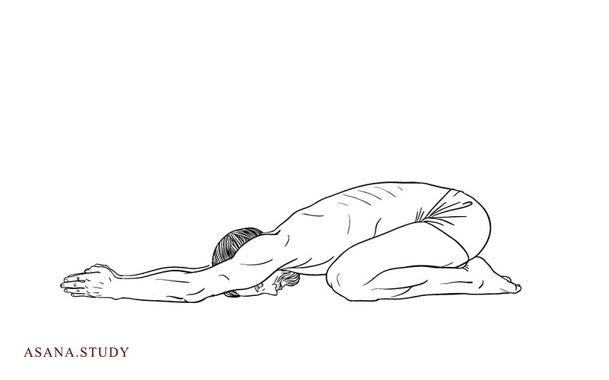 Ардха курмасана: польза, техника выполнения и вариации