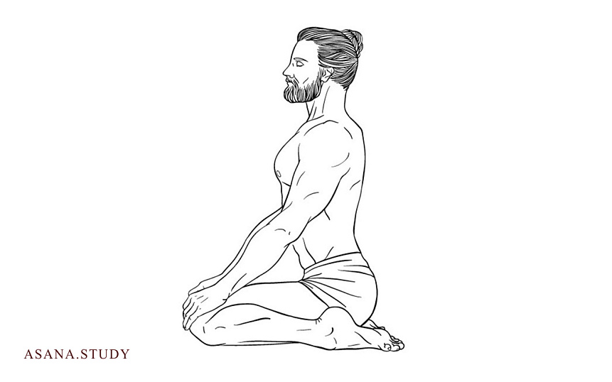 Вирасана (поза героя) в йоге: польза, техника выполнения и вариации