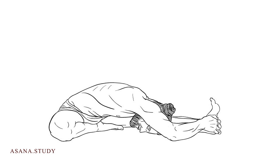 Джану ширшасана: подробное руководство по позе головы к колену