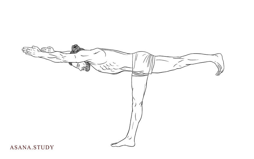 Вирабхадрасана III: подробное руководство по позе воина III