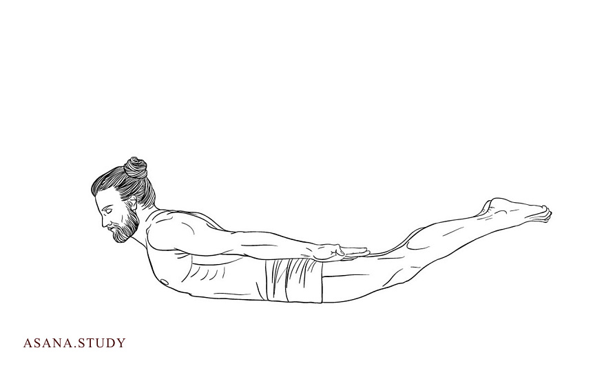 Шалабхасана: укрепляем спину, улучшаем осанку и заряжаемся энергией