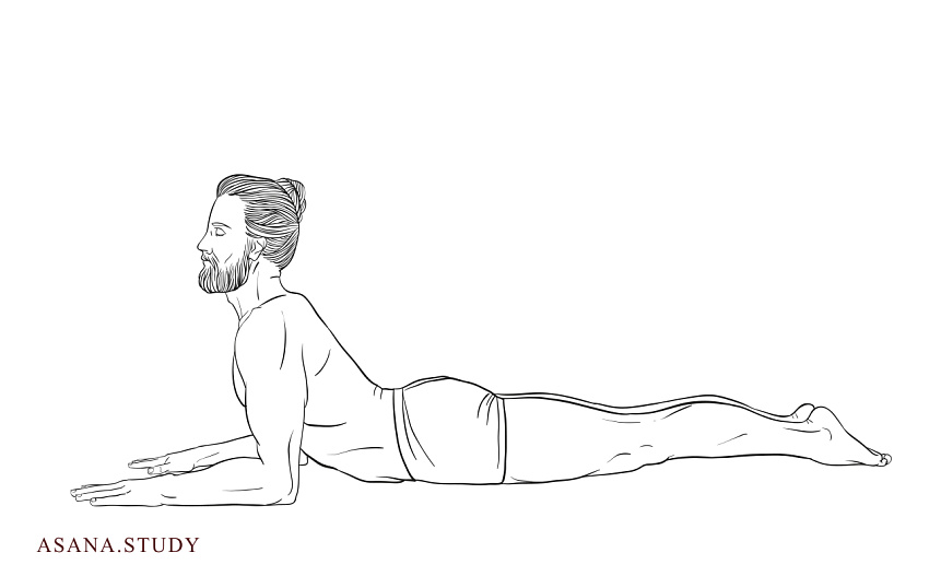 Ардха бхуджангасана: подробное руководство по позе половинной кобры