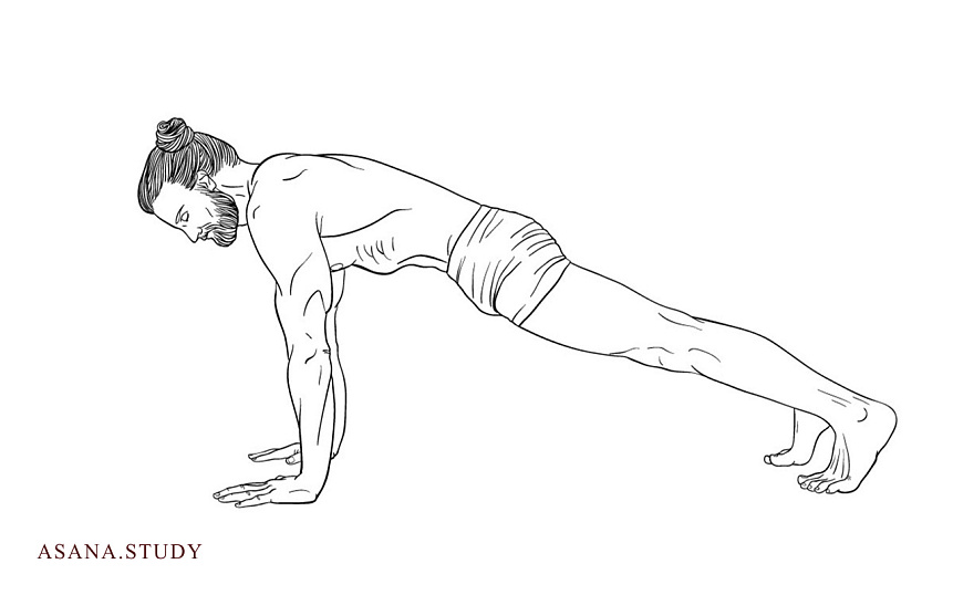 Урдхва чатуранга дандасана: подготовка к сложным асанам йоги