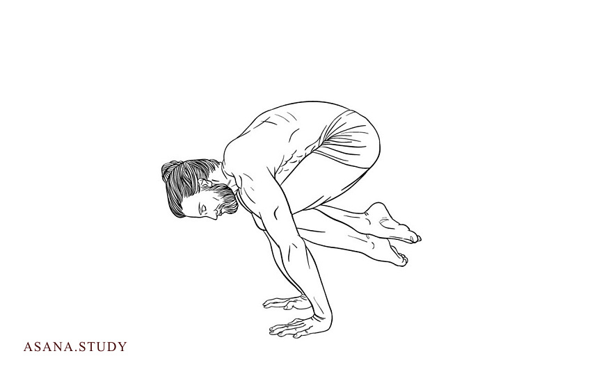 Лоласана: пошаговая инструкция для укрепления рук и пресса