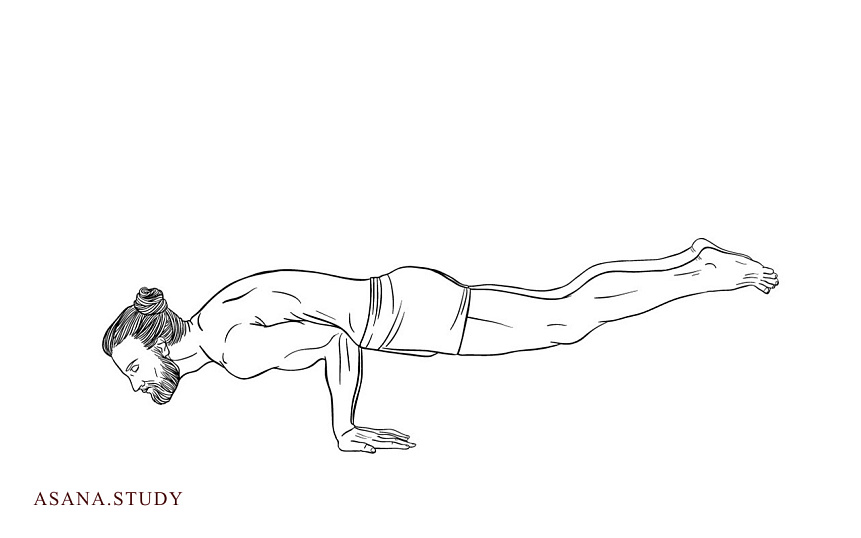 Маюрасана (поза павлина): техника выполнения, польза и противопоказания