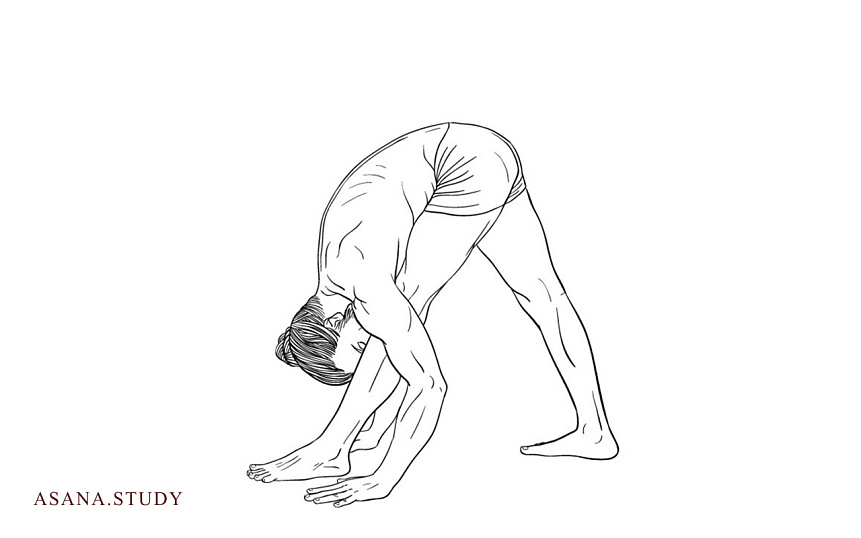 Паршвоттанасана: освоение позы интенсивного бокового вытяжения в йоге