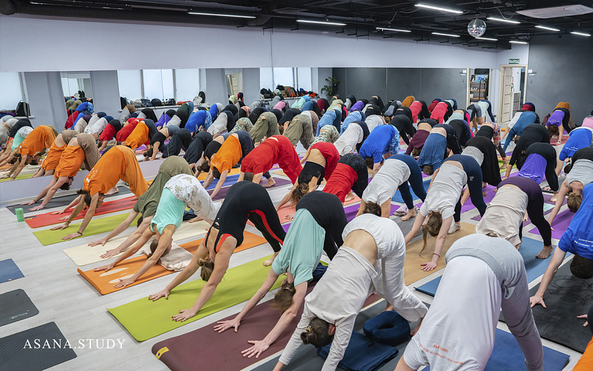 Собака мордой вниз в зале