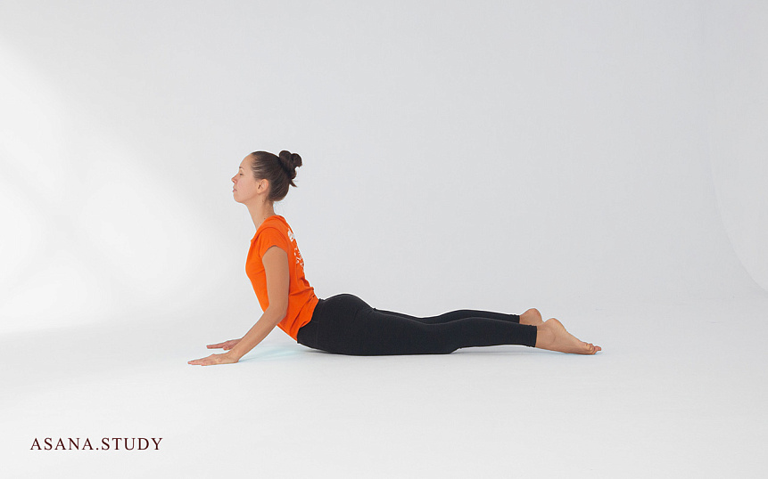 Бхуджангасана