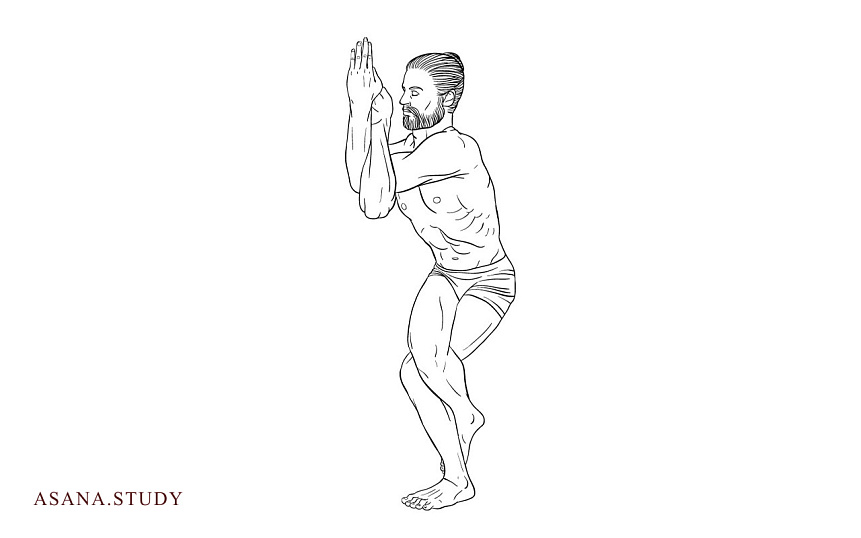 Гарудасана (поза орла) в йоге : польза, техника выполнения и вариации