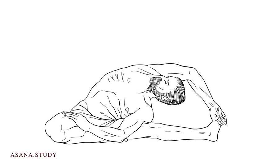 Париврита джану ширшасана: подробное руководство по наклону в сторону с разворотом