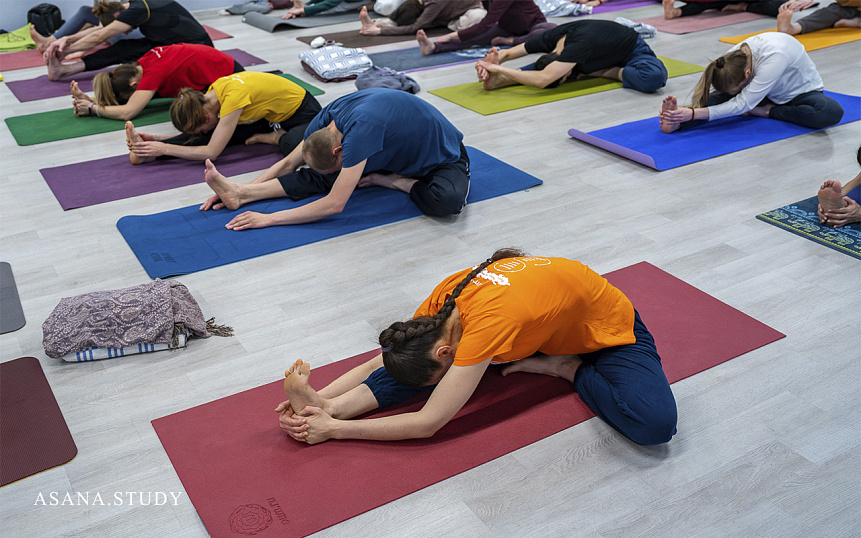 Джануширшасана вид сверху