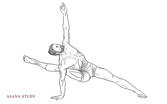 Вишвамитрасана