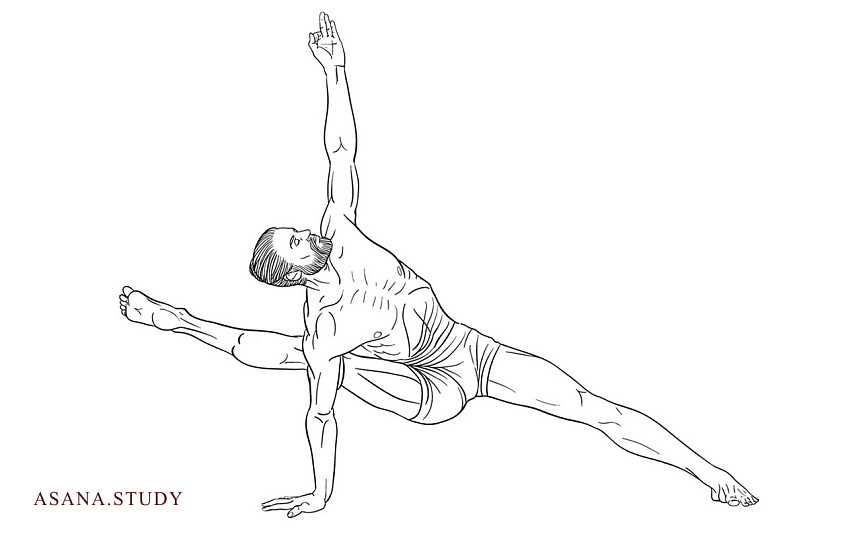 Вишвамитрасана: пошаговое руководство к освоению позы мудреца