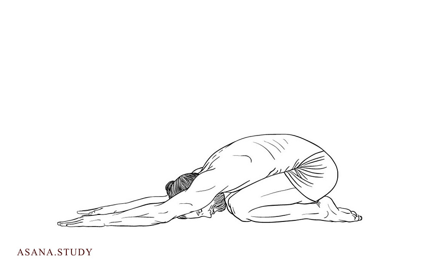 Шашанкасана (поза зайца): техника выполнения для начинающих