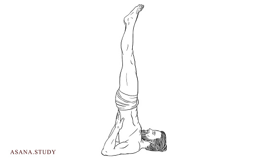 Саламба сарвангасана (берёзка)