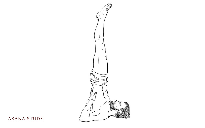 Саламба сарвангасана: правильная техника выполнения для начинающих