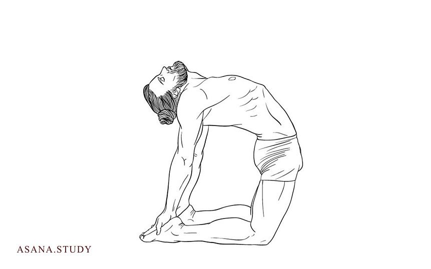 Уштрасана (поза верблюда) в йоге: польза, техника выполнения и противопоказания