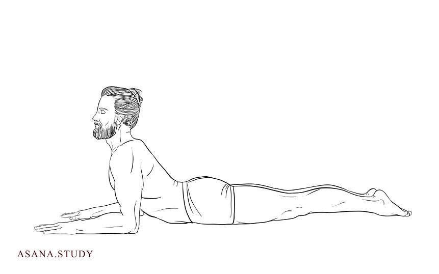 Ардха Бхуджангасана