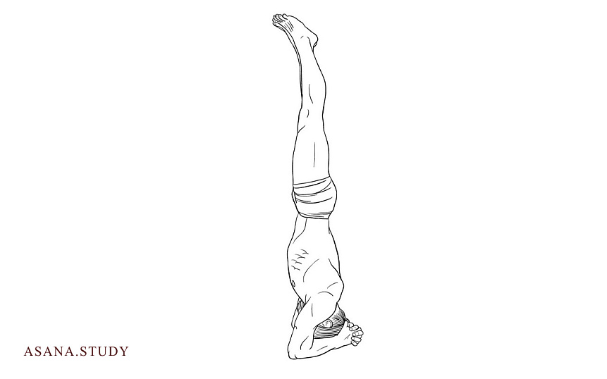 Саламба ширшасана: освойте стойку на голове с пошаговой инструкцией