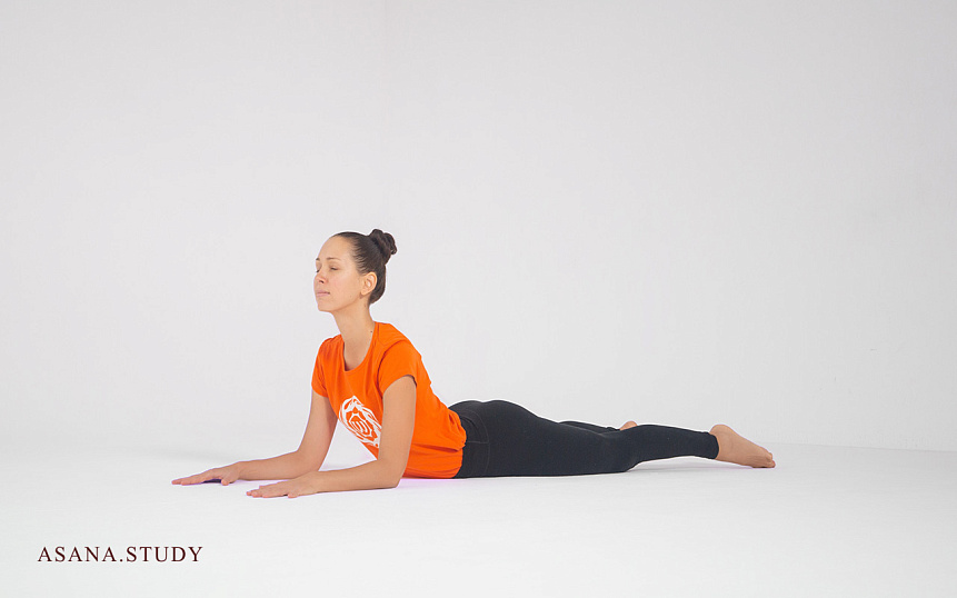 Ардха Бхуджангасана