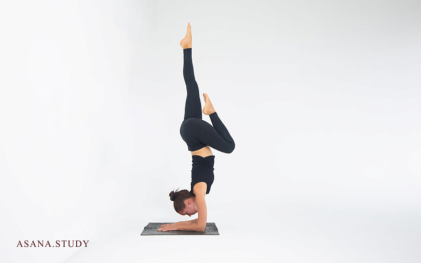 Эка Пада Пинча Маюрасан