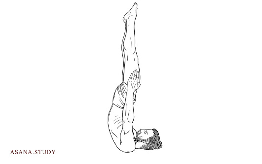 асана нираламба сарвангасана