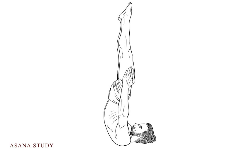 Нираламба сарвангасана: стойка на плечах без опоры для продвинутых практиков