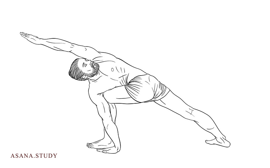 Паривритта паршваконасана: полное руководство по позе скрученного бокового угла