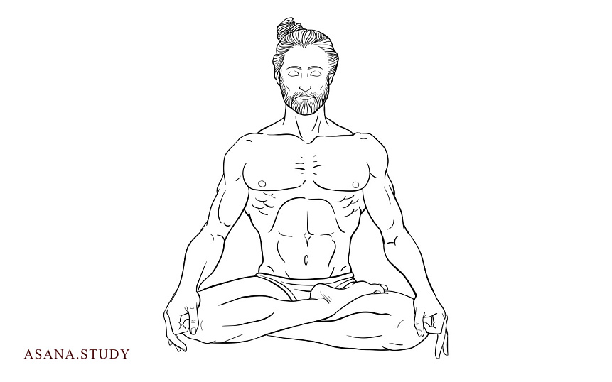 Ардха падмасана: подробное руководство по позе полулотоса